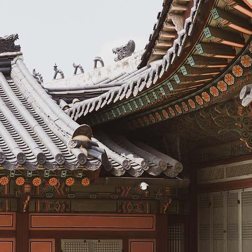 당신의 건강을 지켜줄 여성암보험, 필요성부터 가입정보까지 알아보세요