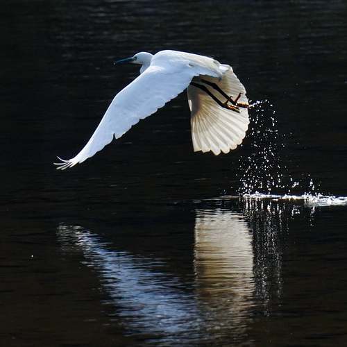 2024년 국민연금, 최고 수령액은 얼마일까요? 나의 노후 준비에 꼭 필요한 정보