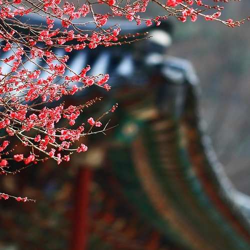 부산에서 받을 수 있는 민생회복지원금, 25만원의 혜택과 함께하세요!