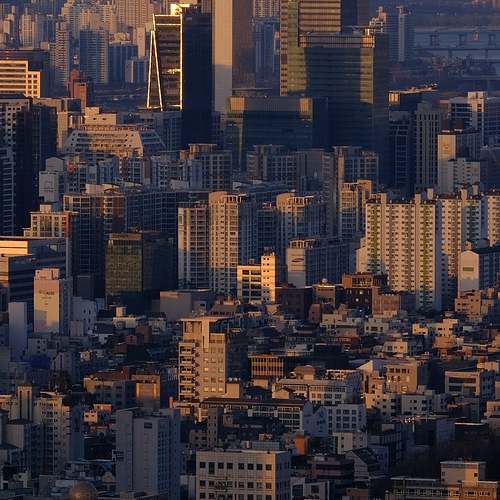 전세 사기 예방을 위한 임대인 정보조회 제도의 모든 것