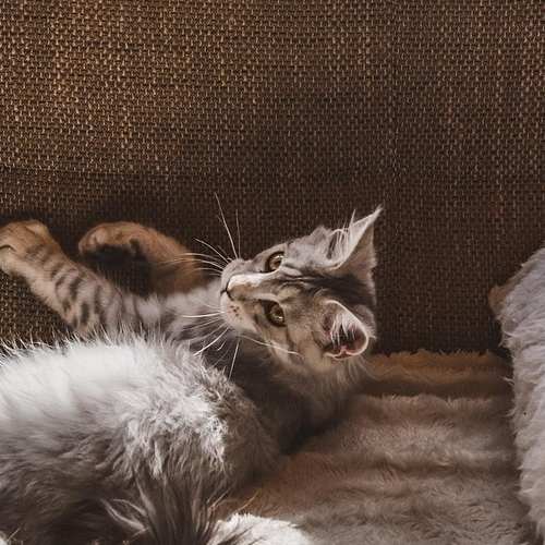 아파트담보대출: 쉽고 간편한 신청방법과 조건을 알아보세요!