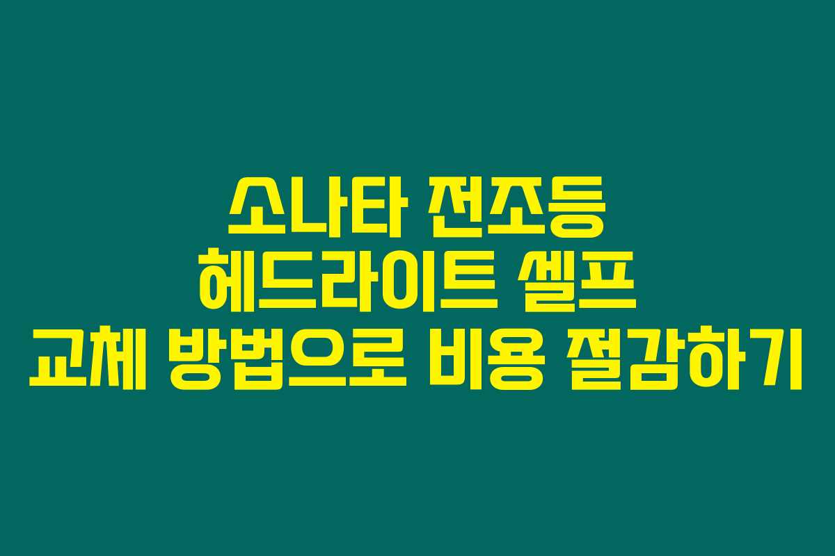 소나타 전조등 헤드라이트 셀프 교체 방법으로 비용 절감하기