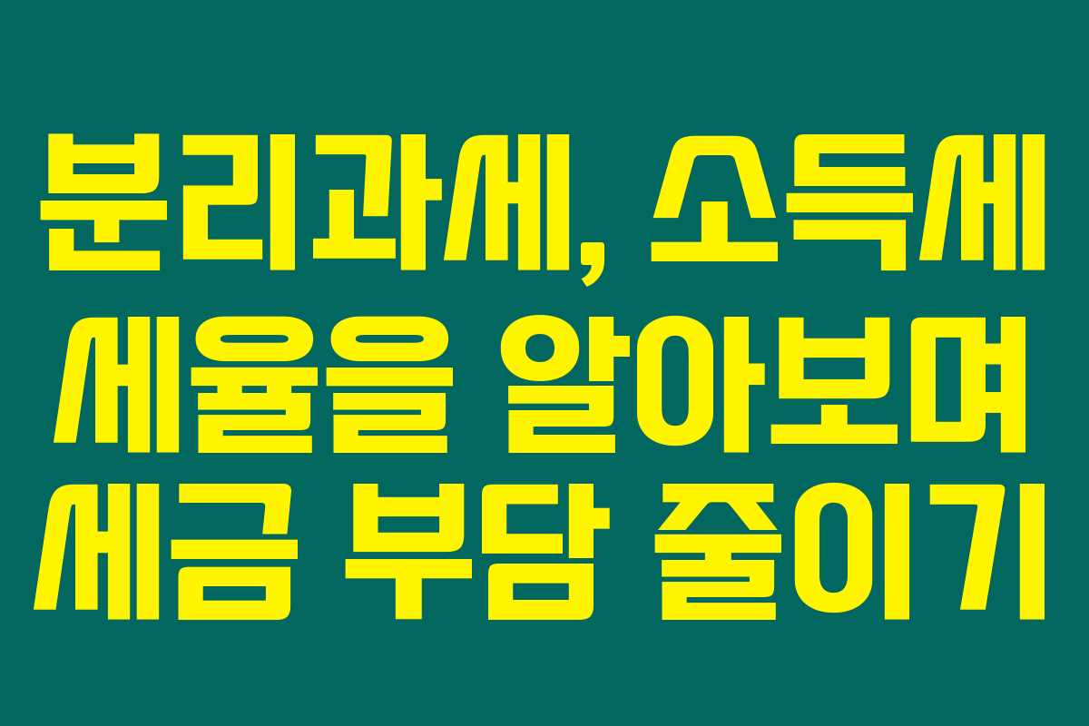 분리과세, 소득세 세율을 알아보며 세금 부담 줄이기