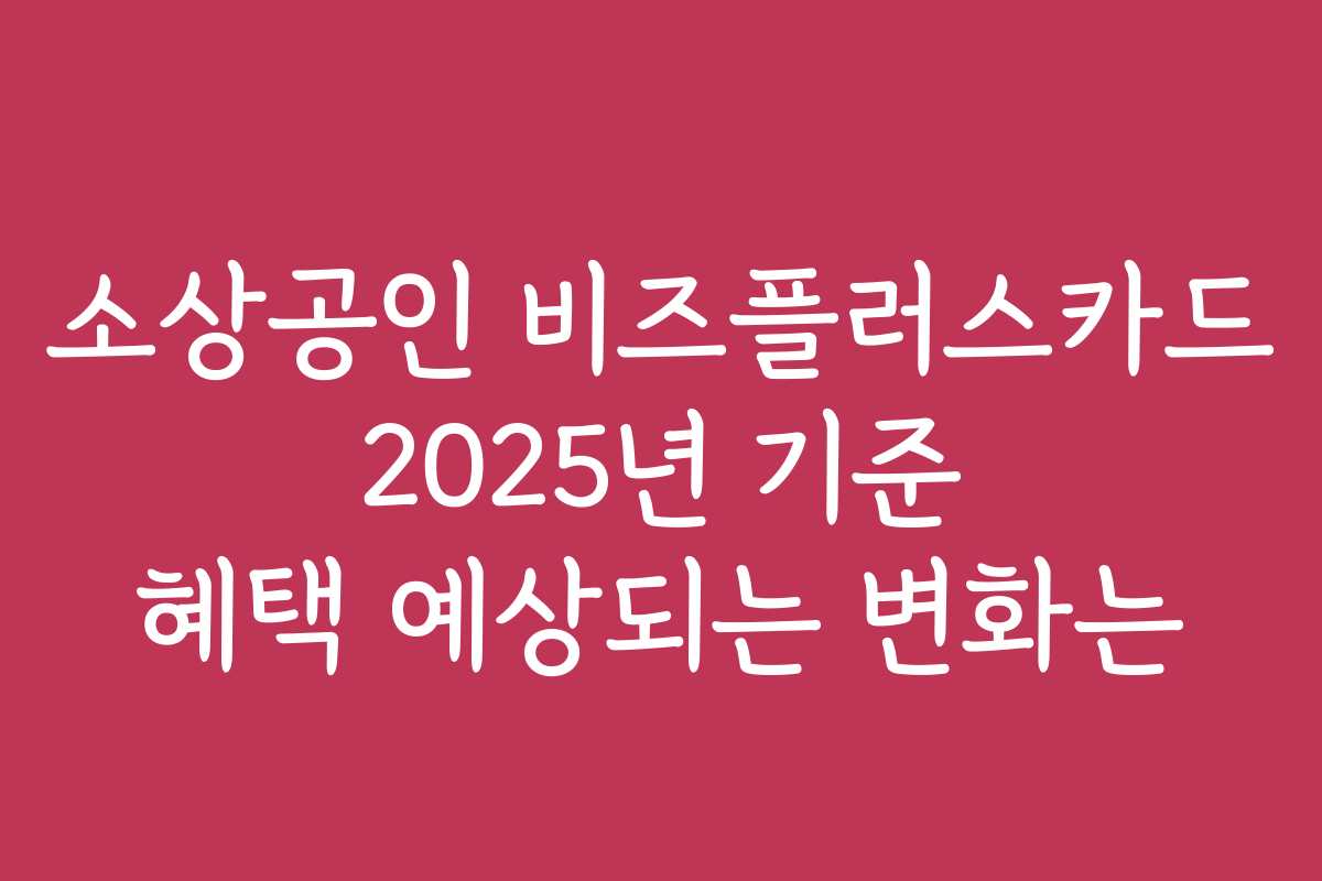 소상공인 비즈플러스카드 2025년 기준 혜택 예상되는 변화는