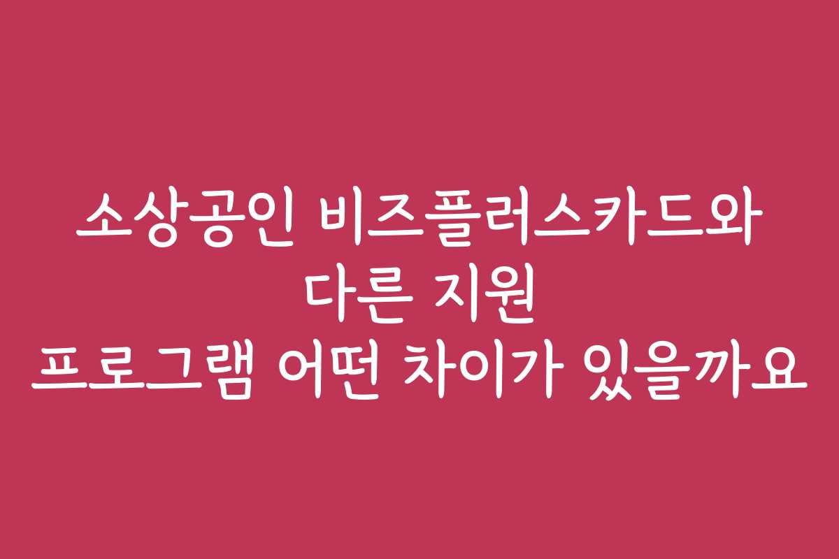소상공인 비즈플러스카드와 다른 지원 프로그램 어떤 차이가 있을까요