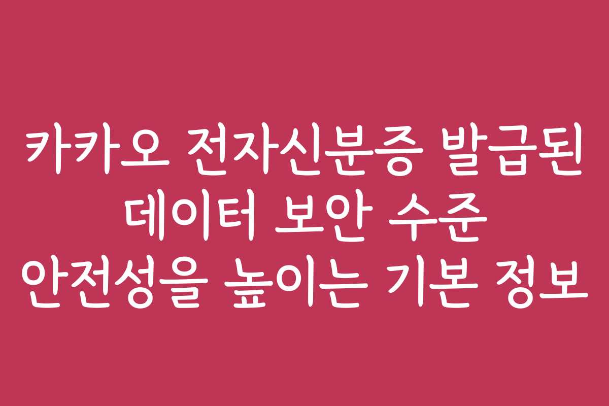 카카오 전자신분증 발급된 데이터 보안 수준 안전성을 높이는 기본 정보