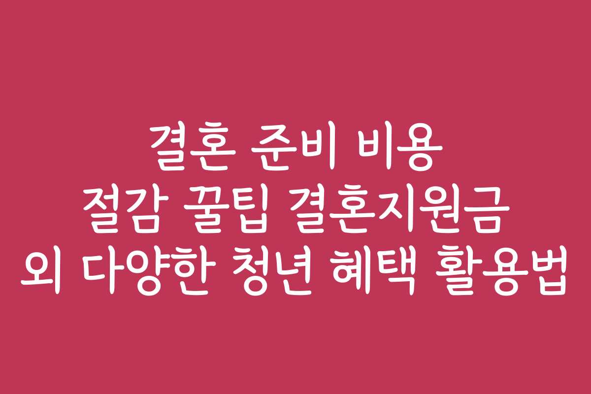 결혼 준비 비용 절감 꿀팁 결혼지원금 외 다양한 청년 혜택 활용법