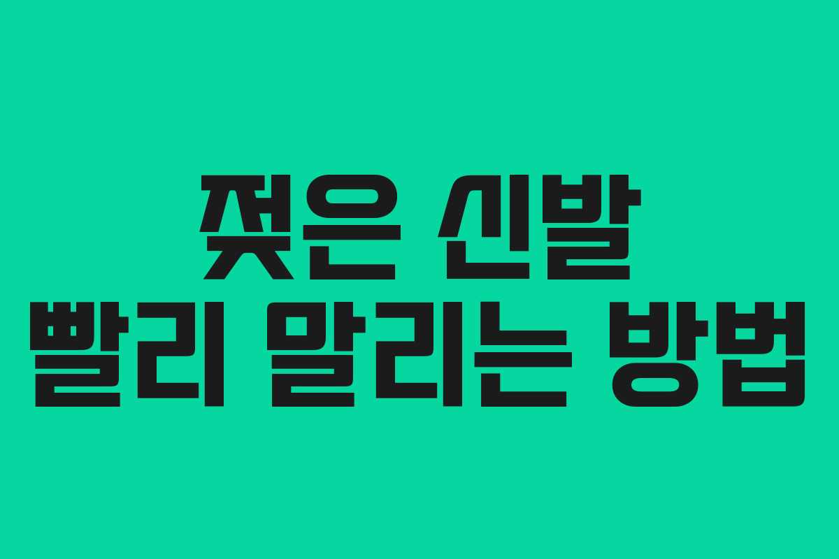 젖은 신발 빨리 말리는 방법