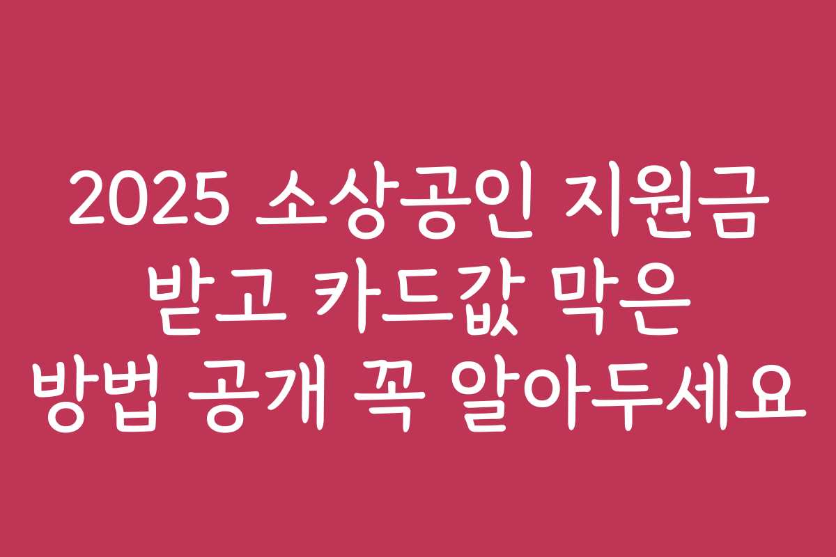 2025 소상공인 지원금 받고 카드값 막은 방법 공개 꼭 알아두세요