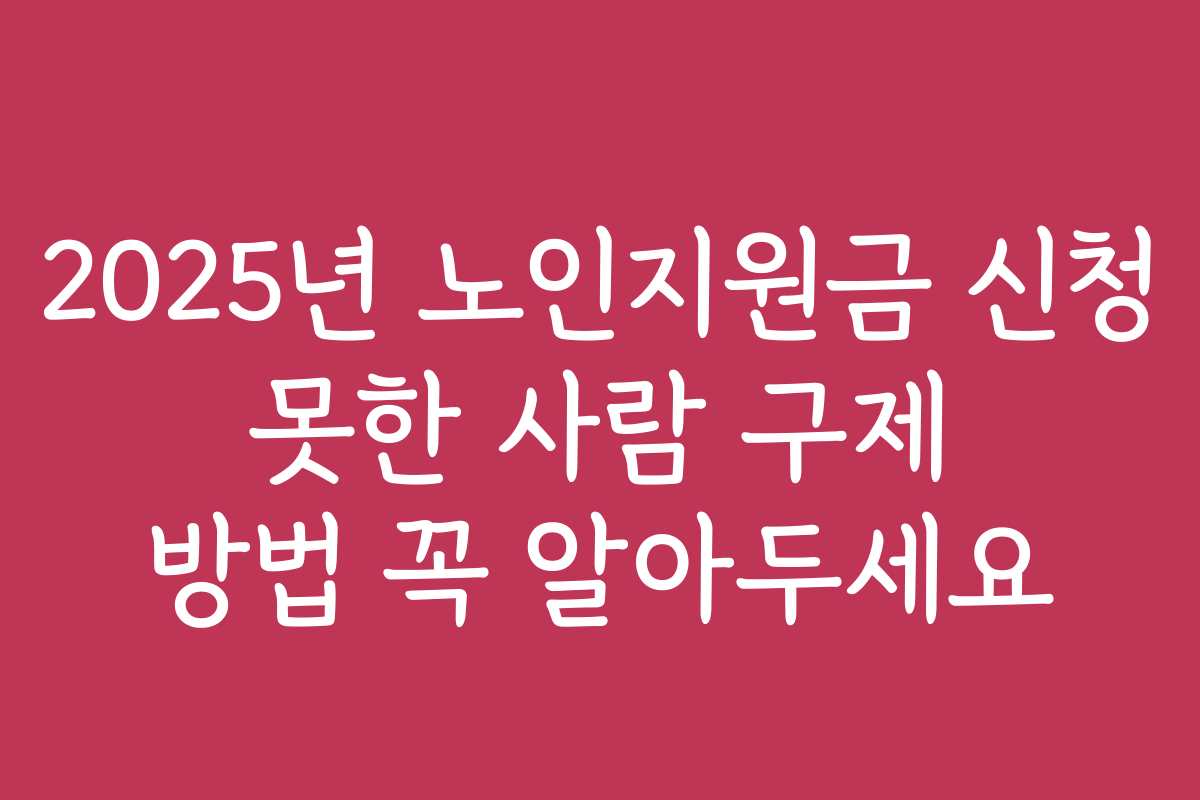 2025년 노인지원금 신청 못한 사람 구제 방법 꼭 알아두세요