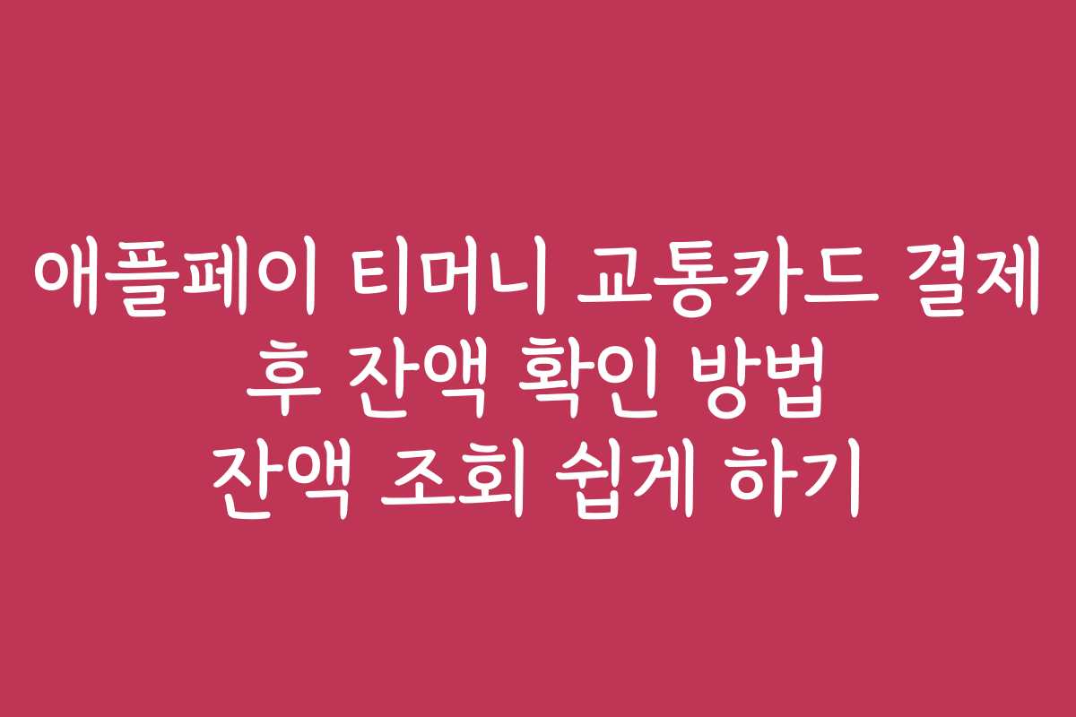 애플페이 티머니 교통카드 결제 후 잔액 확인 방법 잔액 조회 쉽게 하기