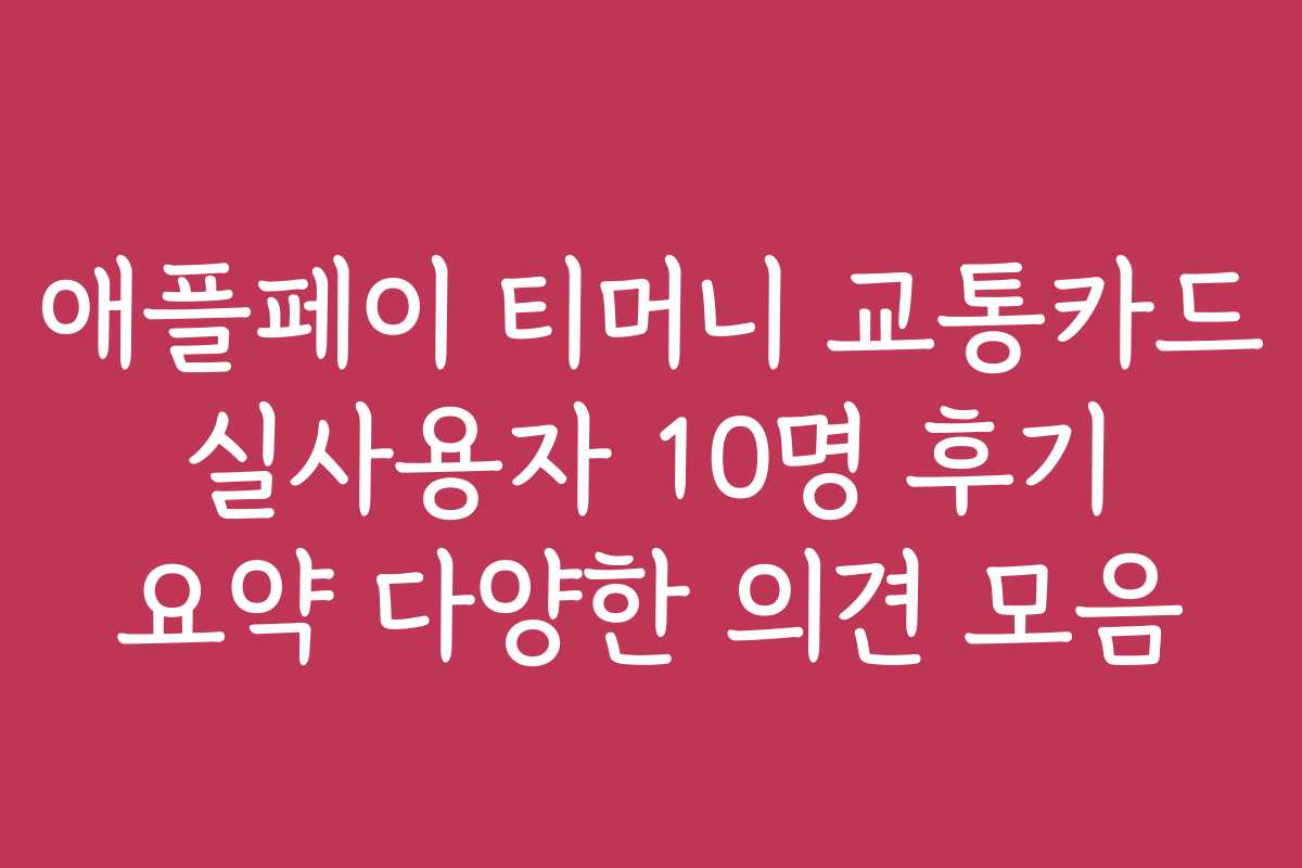 애플페이 티머니 교통카드 실사용자 10명 후기 요약 다양한 의견 모음