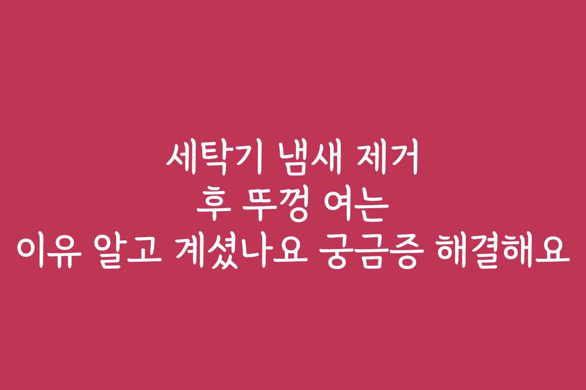 세탁기 냄새 제거 후 뚜껑 여는 이유 알고 계셨나요 궁금증 해결해요
