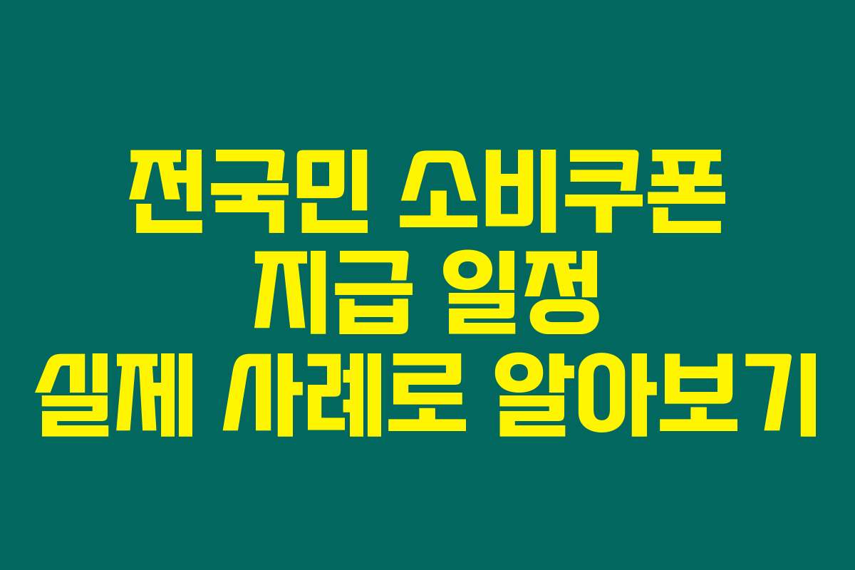 전국민 소비쿠폰 지급 일정 실제 사례로 알아보기