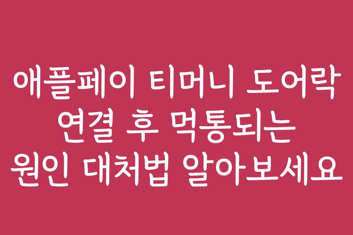 애플페이 티머니 도어락 연결 후 먹통되는 원인 대처법 알아보세요