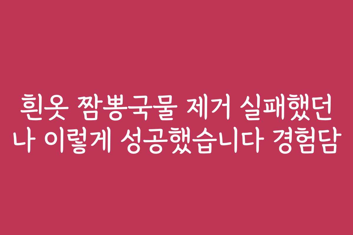 흰옷 짬뽕국물 제거 실패했던 나 이렇게 성공했습니다 경험담