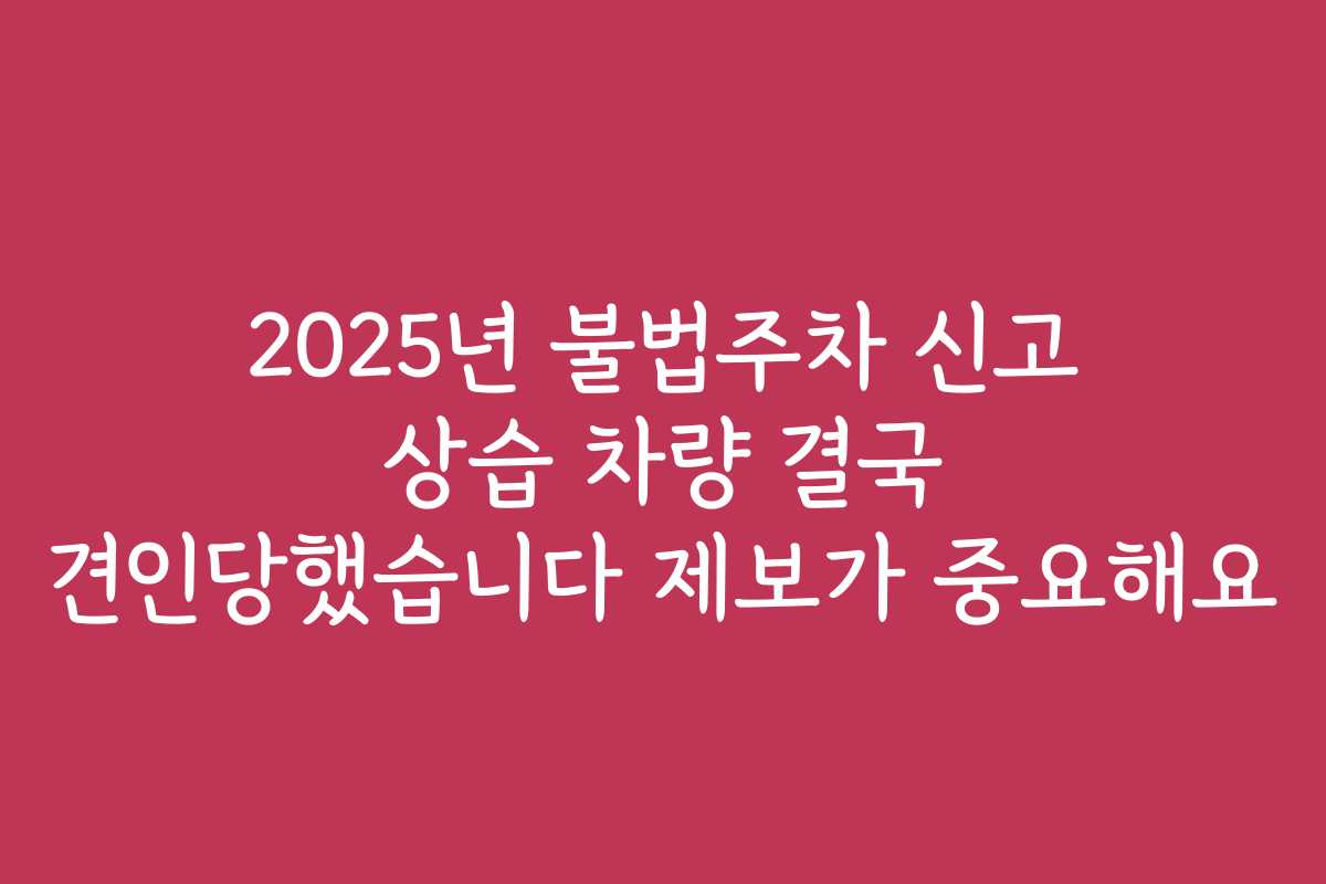 2025년 불법주차 신고 상습 차량 결국 견인당했습니다 제보가 중요해요