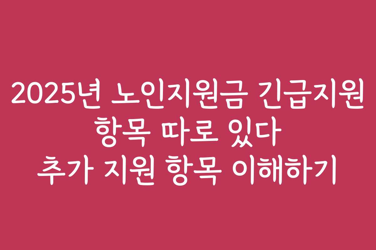 2025년 노인지원금 긴급지원 항목 따로 있다 추가 지원 항목 이해하기