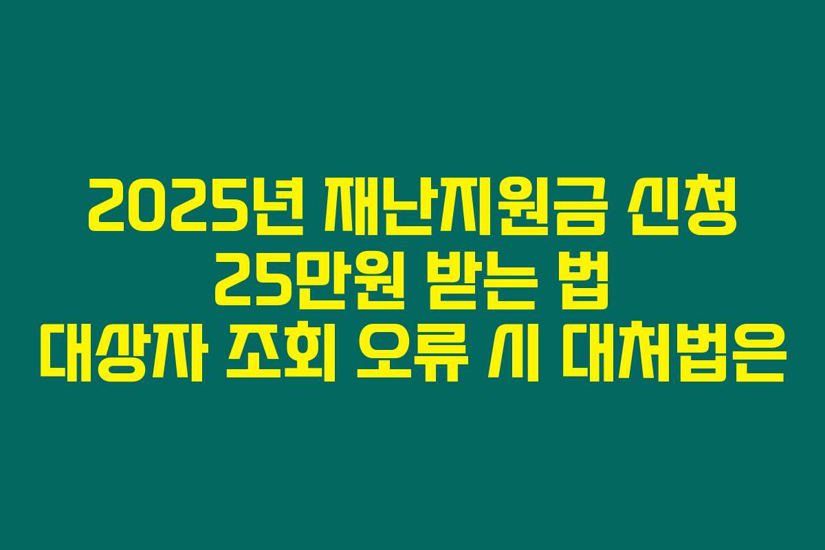 2025년 재난지원금 신청 25만원 받는 법 대상자 조회 오류 시 대처법은