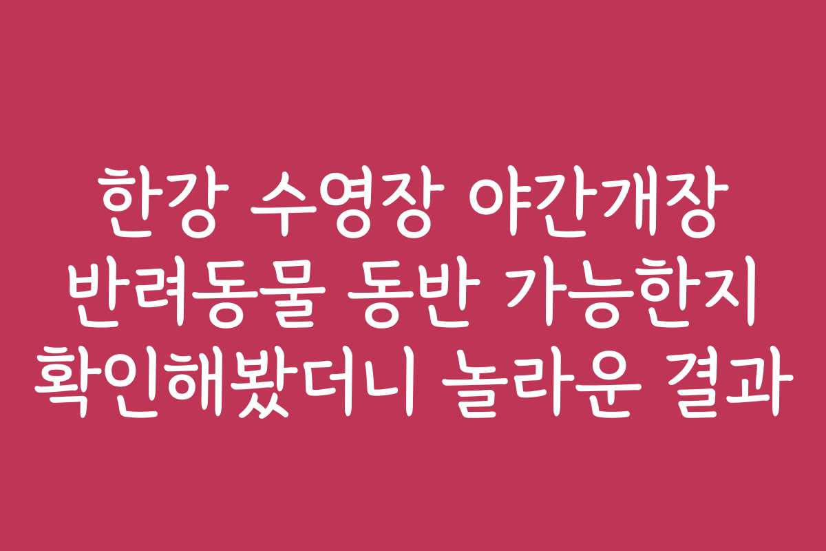 한강 수영장 야간개장 반려동물 동반 가능한지 확인해봤더니 놀라운 결과