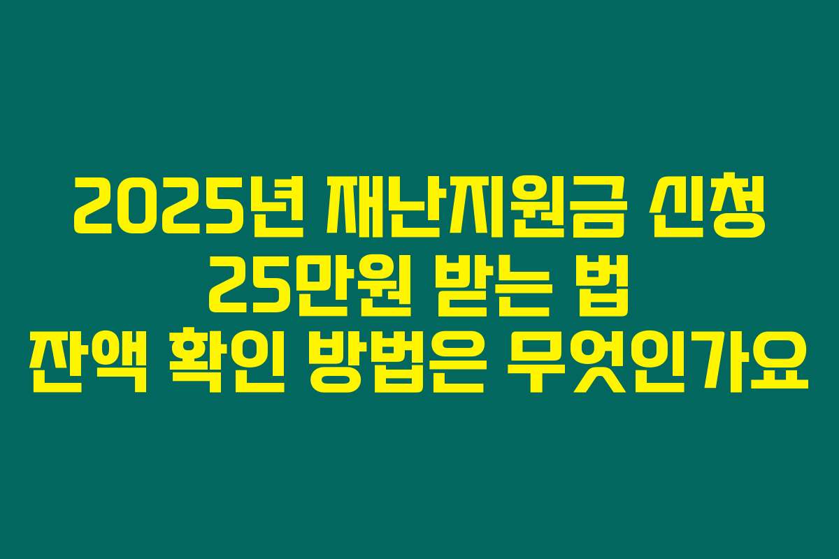 2025년 재난지원금 신청 25만원 받는 법 잔액 확인 방법은 무엇인가요