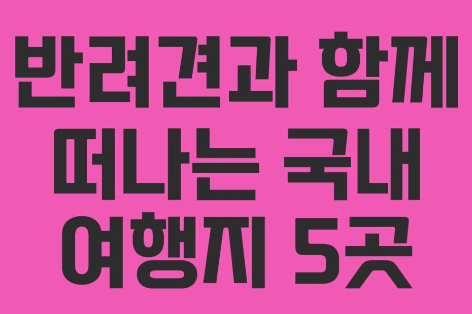 반려견과 함께 떠나는 국내 여행지 5곳
