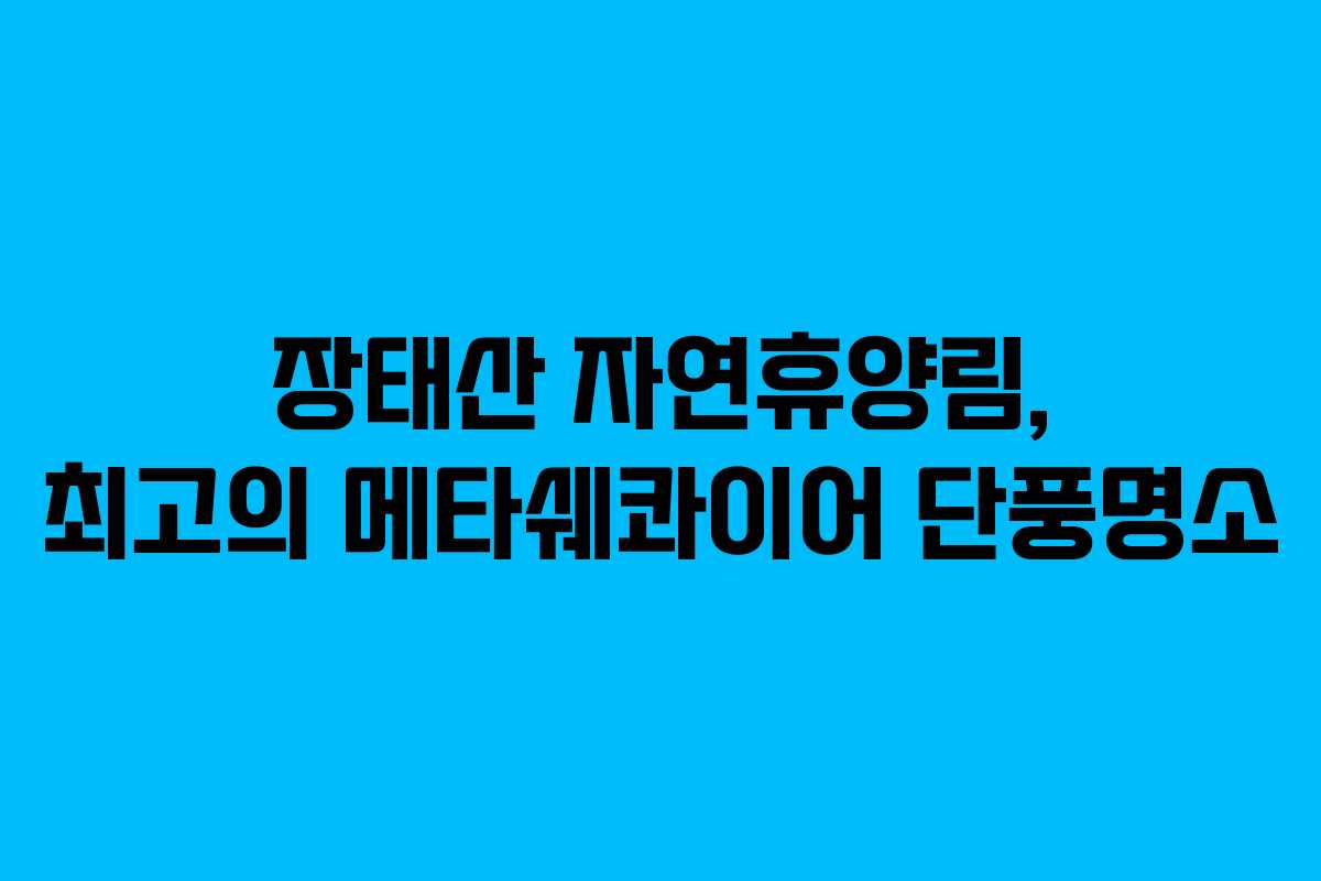 장태산 자연휴양림, 최고의 메타쉐콰이어 단풍명소