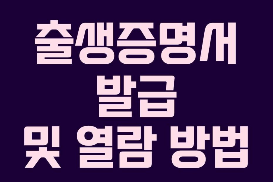 출생증명서 발급 및 열람 방법