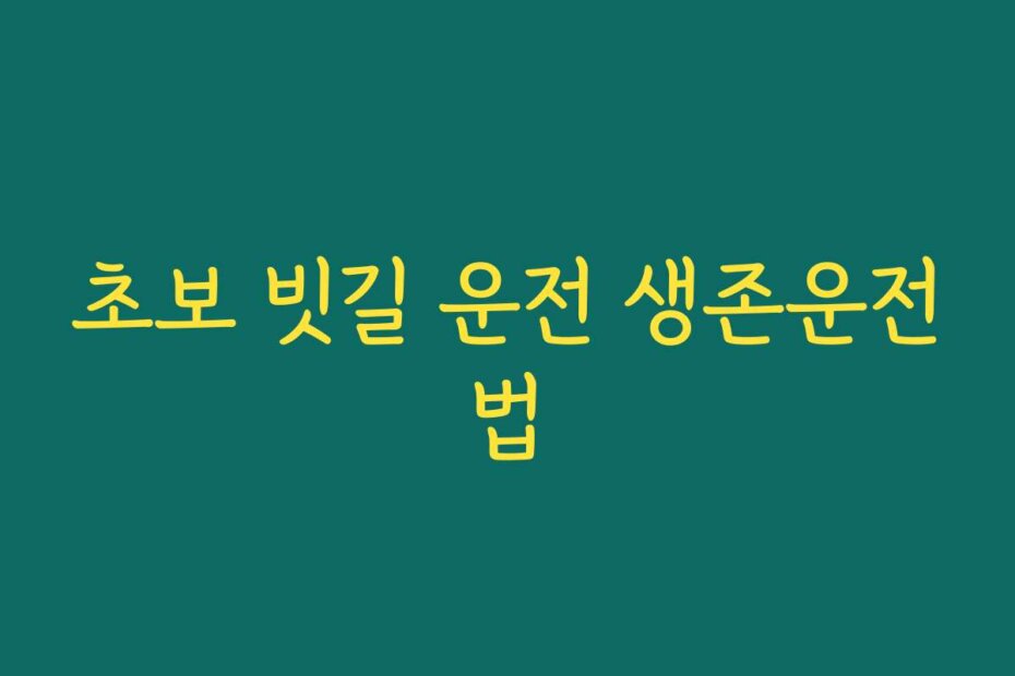 초보 빗길 운전 생존운전법