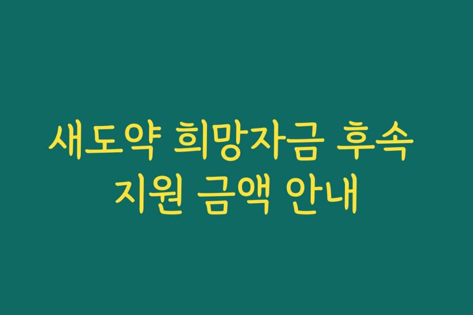 새도약 희망자금 후속 지원 금액 안내