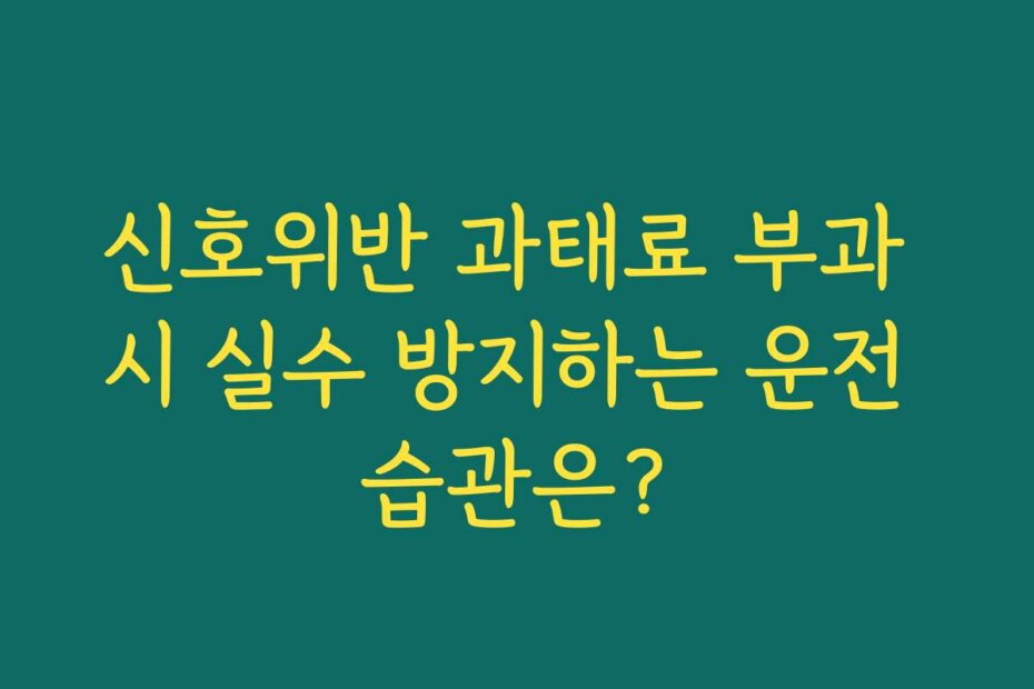 신호위반 과태료 부과 시 실수 방지하는 운전 습관은?