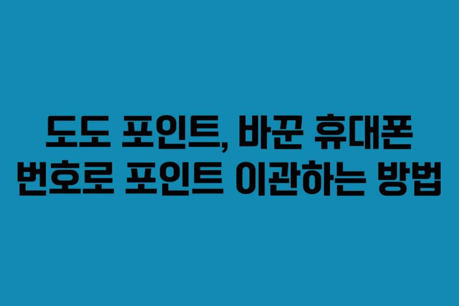 도도 포인트, 바꾼 휴대폰 번호로 포인트 이관하는 방법