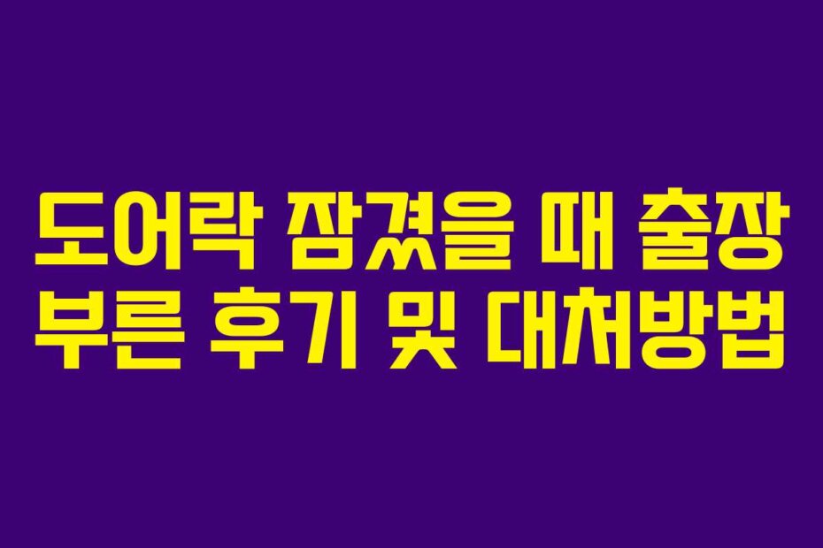 도어락 잠겼을 때 출장 부른 후기 및 대처방법