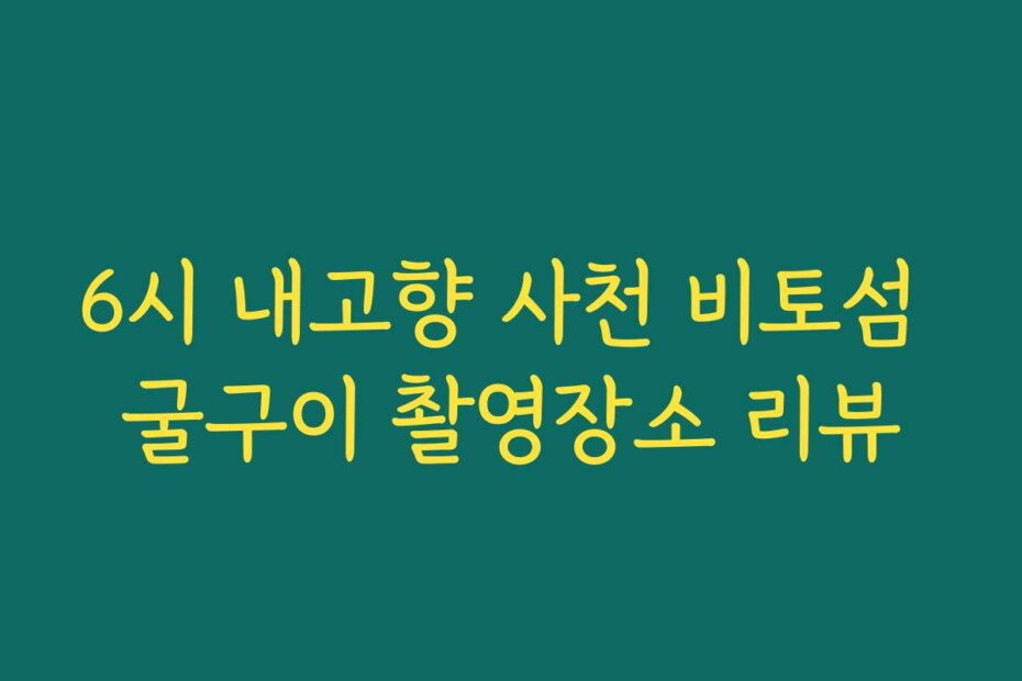 6시 내고향 사천 비토섬 굴구이 촬영장소 리뷰