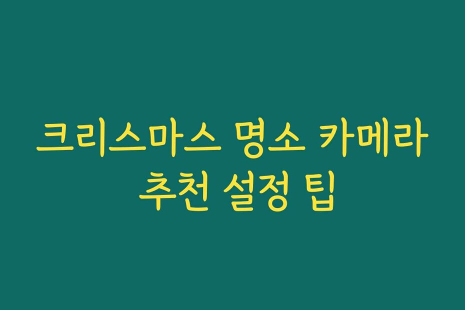 크리스마스 명소 카메라 추천 설정 팁