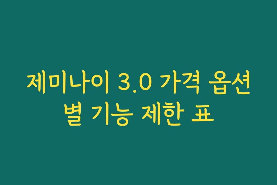 제미나이 3.0 가격 옵션별 기능 제한 표
