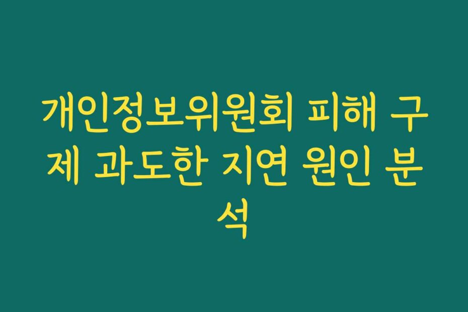 개인정보위원회 피해 구제 과도한 지연 원인 분석