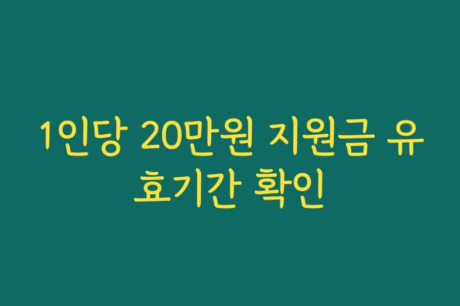 1인당 20만원 지원금 유효기간 확인
