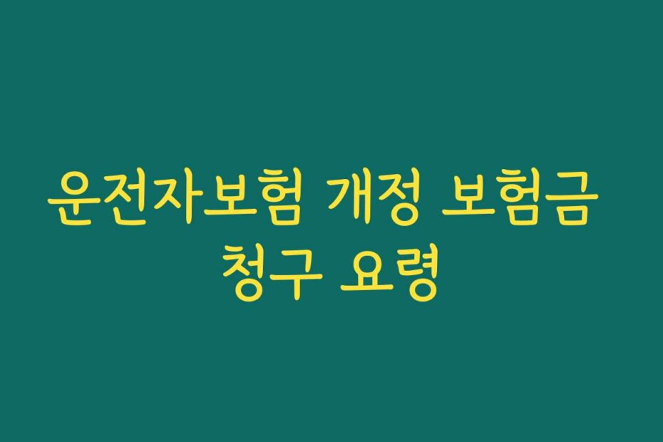 운전자보험 개정 보험금 청구 요령