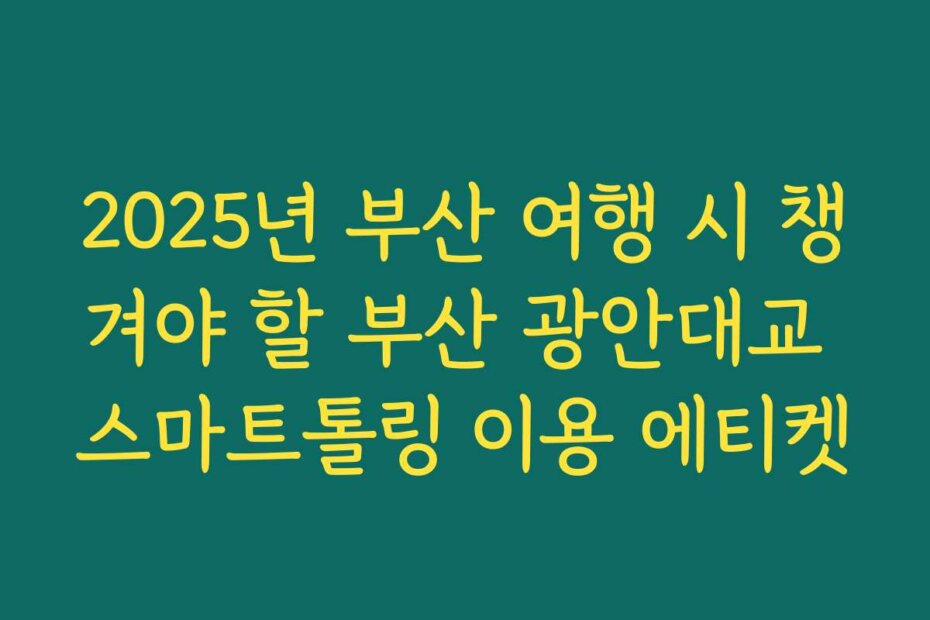 2025년 부산 여행 시 챙겨야 할 부산 광안대교 스마트톨링 이용 에티켓