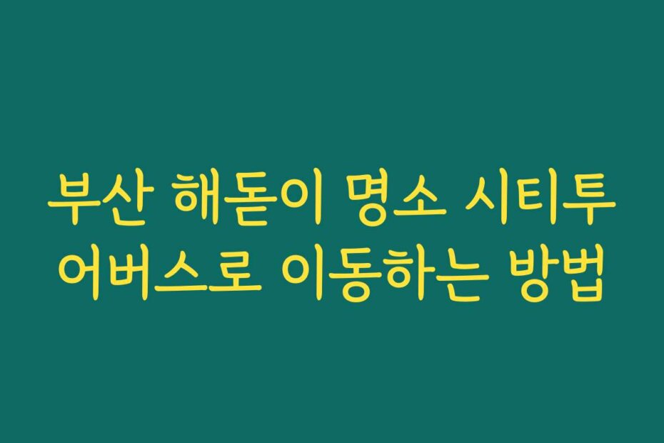 부산 해돋이 명소 시티투어버스로 이동하는 방법