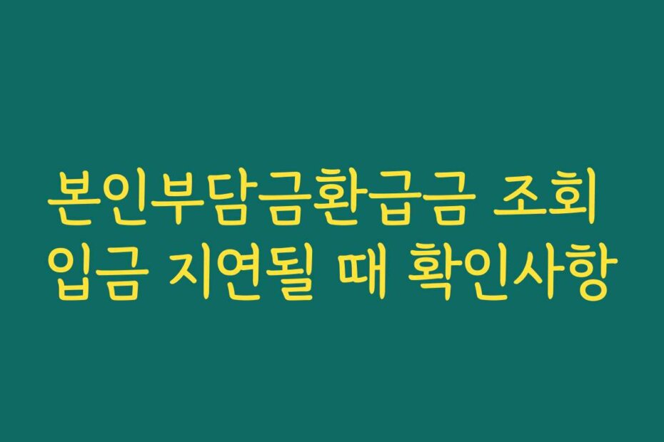 본인부담금환급금 조회 입금 지연될 때 확인사항