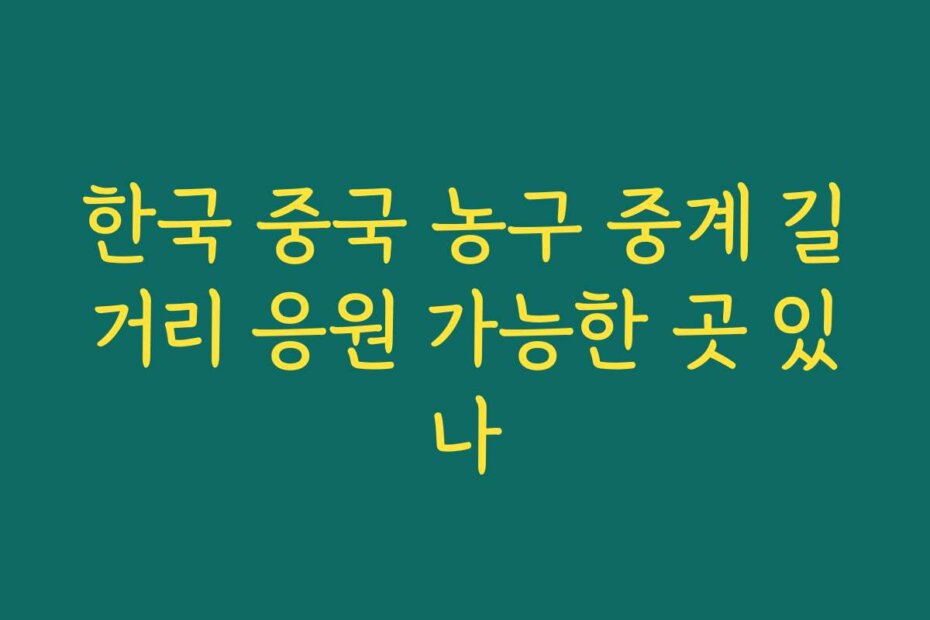 한국 중국 농구 중계 길거리 응원 가능한 곳 있나