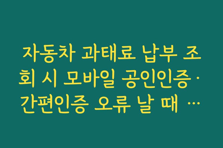 자동차 과태료 납부 조회 시 모바일 공인인증·간편인증 오류 날 때 해결 순서