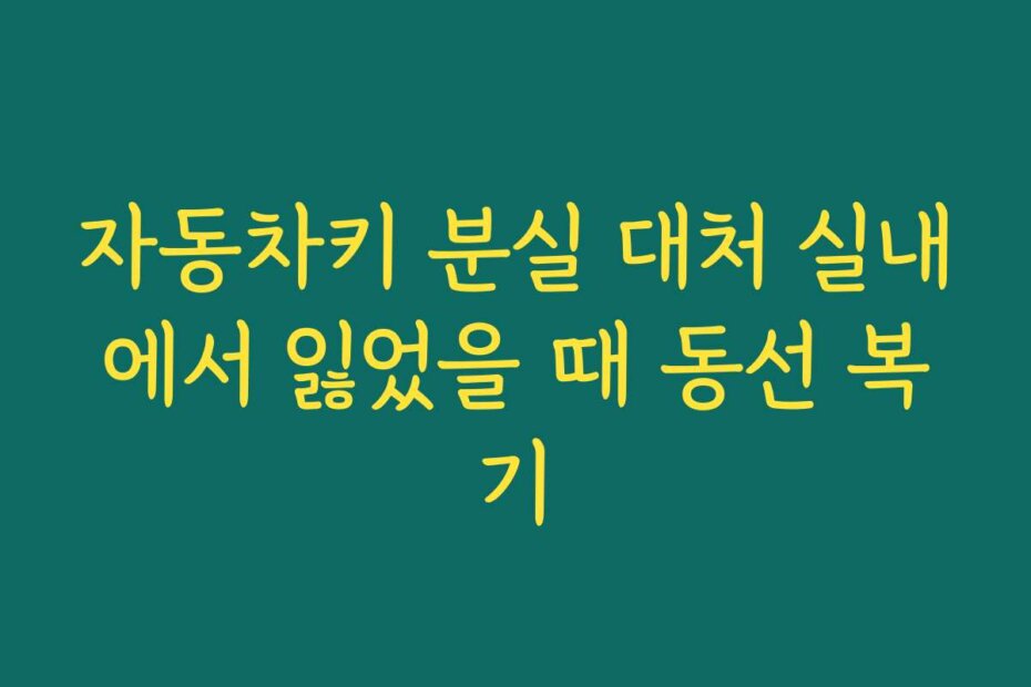 자동차키 분실 대처 실내에서 잃었을 때 동선 복기