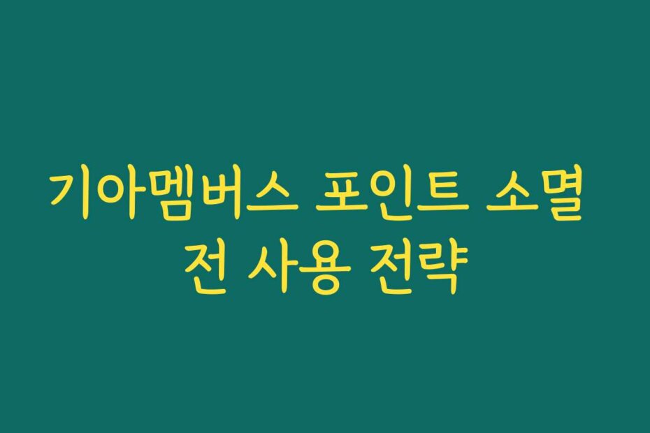 기아멤버스 포인트 소멸 전 사용 전략