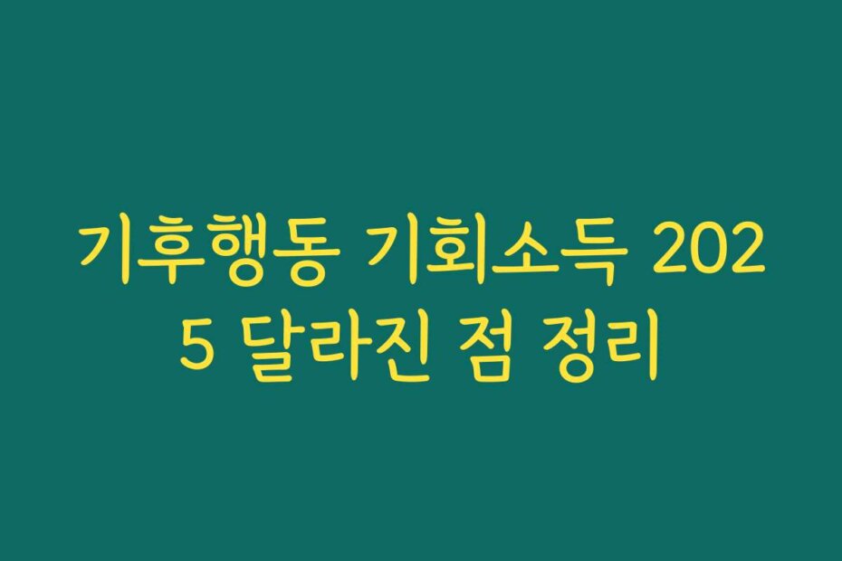 기후행동 기회소득 2025 달라진 점 정리