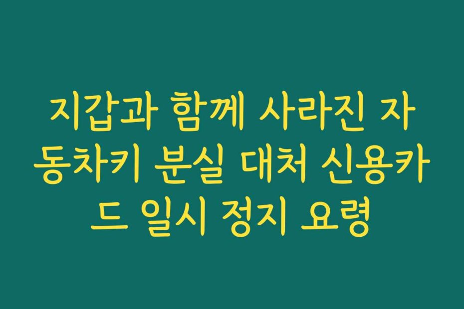 지갑과 함께 사라진 자동차키 분실 대처 신용카드 일시 정지 요령