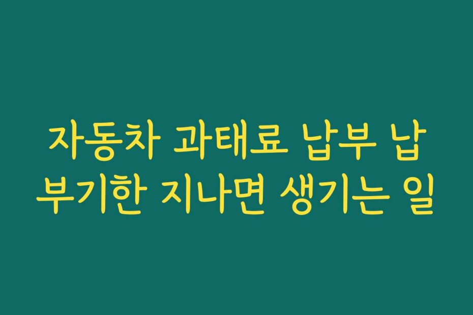 자동차 과태료 납부 납부기한 지나면 생기는 일