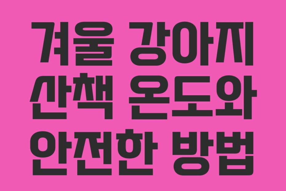 겨울 강아지 산책 온도와 안전한 방법